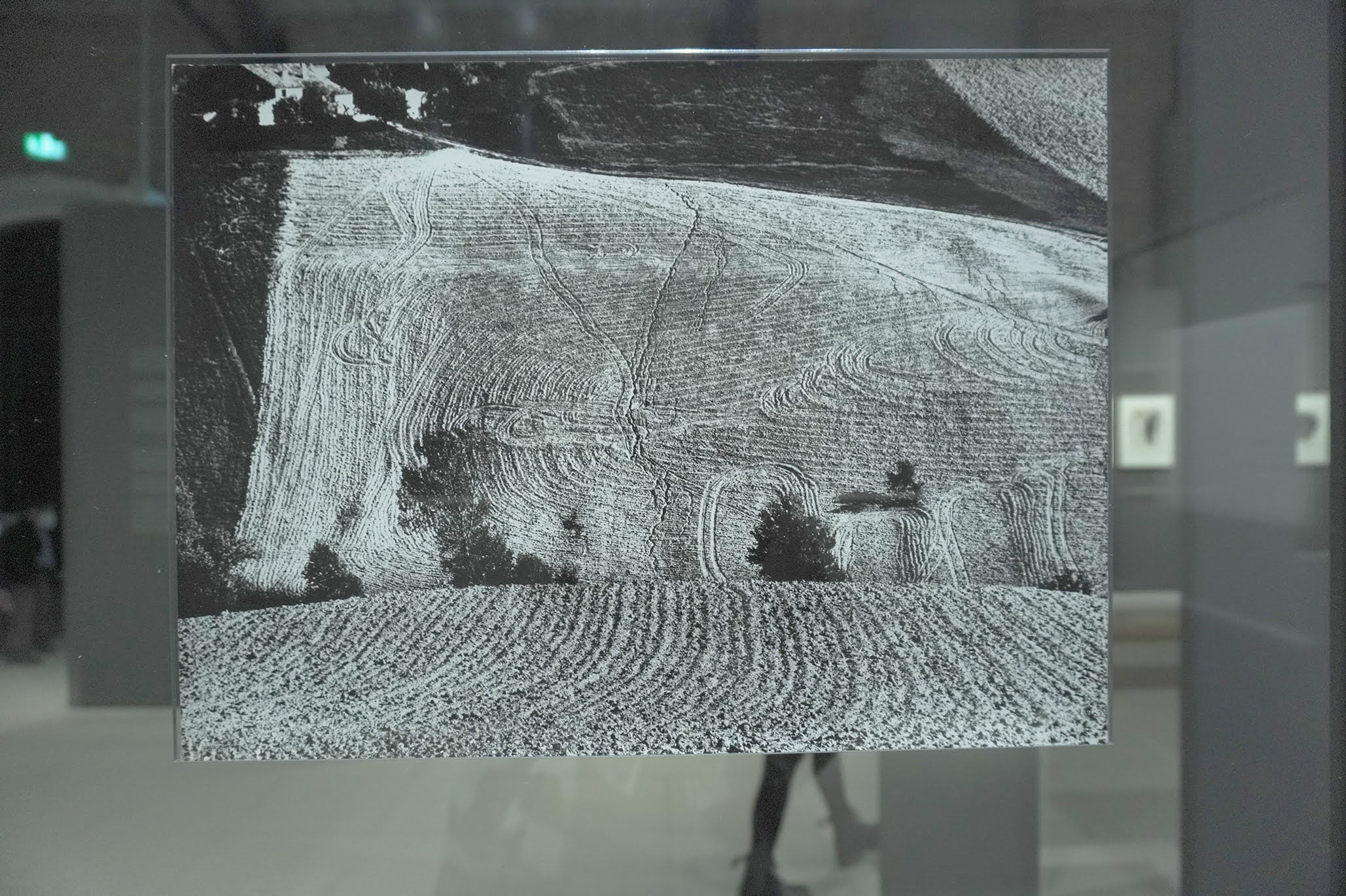 Burri_Giacomelli